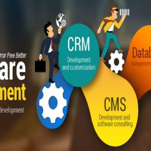 software-development1